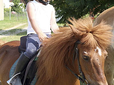 Bild 2 aus  Ferienhof Jehle