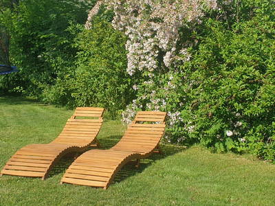 Bild 33 aus  Ferienhof Pfeiffer -  Natururlaub im Blockhaus - nachhaltig gut!