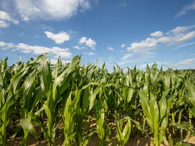 Bild 23 aus  Wofahanslhof