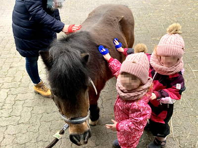 Bild 38 aus  Ferienhof Ritter im Harz