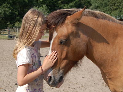 Bild 27 aus  Biohof Grafel - ein Ort, der verbindet