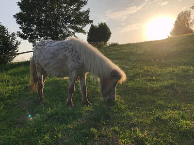 Bild 20 aus  Weidererhof