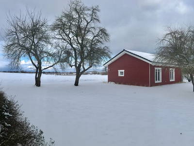 Bild 8 aus  Hof Schackenkamp  Urlaub an der Ostsee