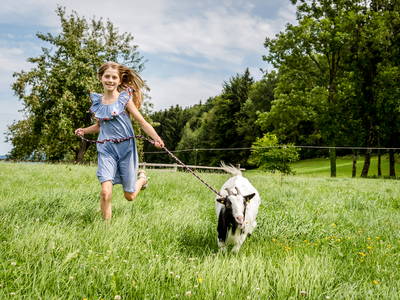 Bild 5 aus  LandSelection Hanznhof