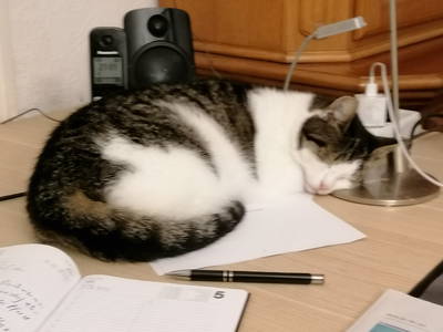 Bild 14 aus  Husarenhof