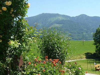 Bild 4 aus  Der Adlerhof