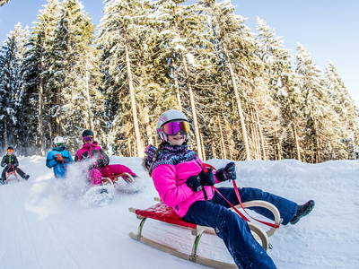 Bild 25 aus  Zillertaler Hofchalets