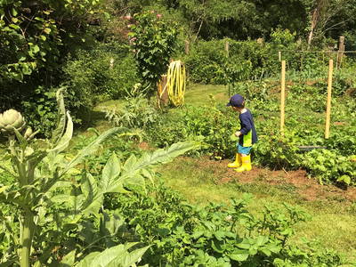 Der junge Pratikant im Bio-Garten