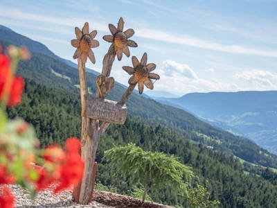 Bild 11 aus  Ban Rutzner (CIN Codex IT021011B5TZ9IFGUO)