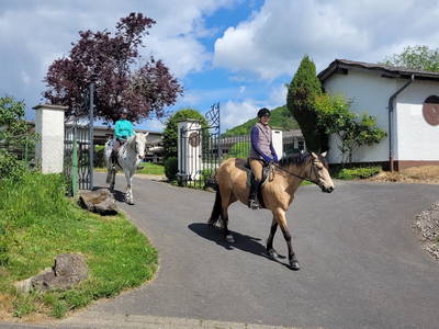 Bild 37 aus  LandSelection LANDGUT PFAUENHOF