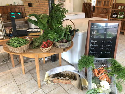 Bild 11 aus  Braunsberger Höfe