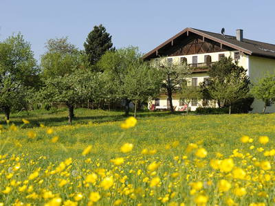 Bild 3 aus  Köllhof