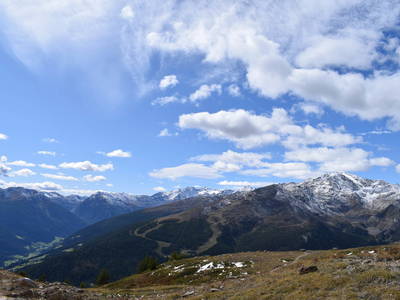 Bild 28 aus  Marschalkhof    Urlaub auf dem Bauernhof