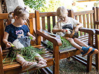 Bild 10 aus  LandSelection Hagerhof