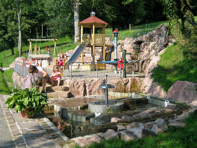 Bild 24 aus  Hanselehof