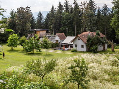 Bild 33 aus  Gut Hornegg