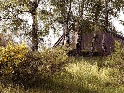 Bild 7 aus  NEUGRAD Eifel