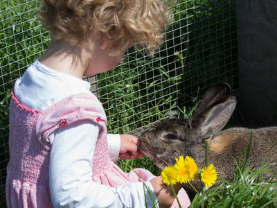 Bild 5 aus  Gut Friederikenhof