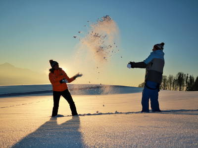 Bild 36 aus  LandSelection Ferienparadies Daxlberger Hof am Chiemsee