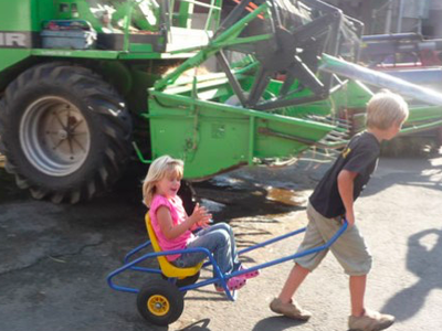 Bild 26 aus  Ferienhof Dingeldey