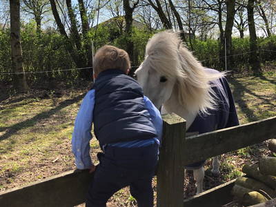 Bild 81 aus  Lindenhof