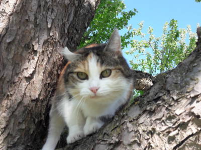 Bild 6 aus  Ferienwohnung kleines Hufeisen
