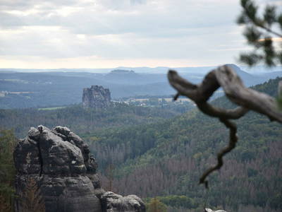 Bild 13 aus  Blogstube in Hinterhermsdorf