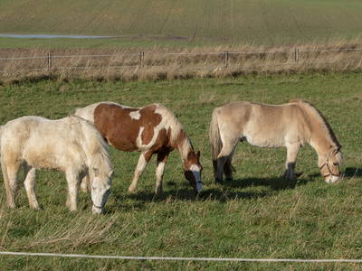 Bild 27 aus  Baustrup Hof