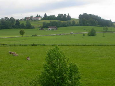 Bild 8 aus  Ferienhof Käser