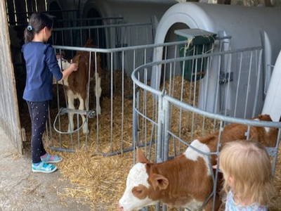 Bild 19 aus  Ferienwohnungen "Zum Baur" - Walser