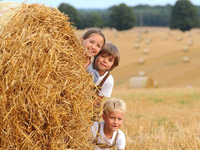 Bild 4 aus  Bauer Korl's Golchener Hof