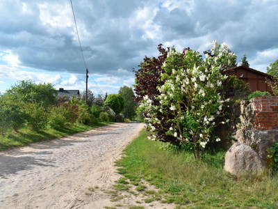 Bild 12 aus  Der Schafstall