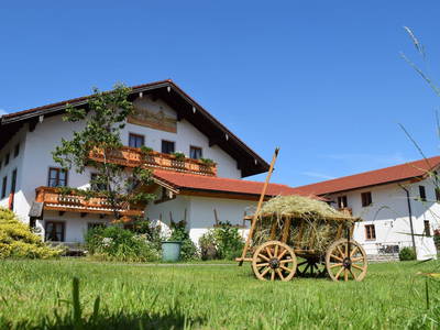 Bild 2 aus  Schauerhof