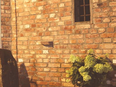 Bild 31 aus  Backhaus Grüntal