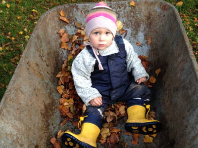 Bild 12 aus  Hof Altasilva - Rosenhof