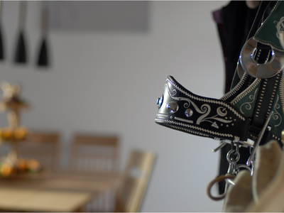 Bild 11 aus  Landgut Moralthof