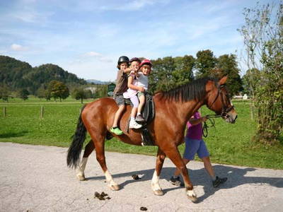 Bild 4 aus  Lamprechthof