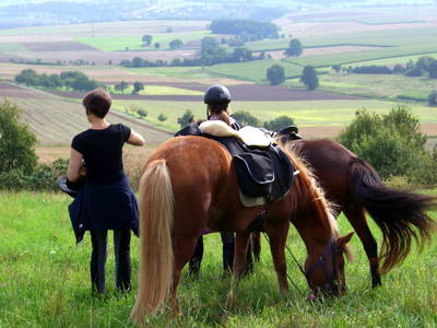 Bild 29 aus  Landhotel-Ferienhof Schneider