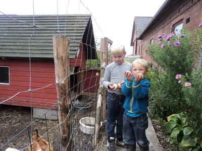 Bild 3 aus  Fredensminde Ferie