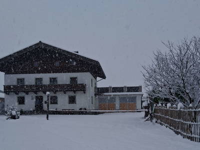 Bild 26 aus  Zillerlehen