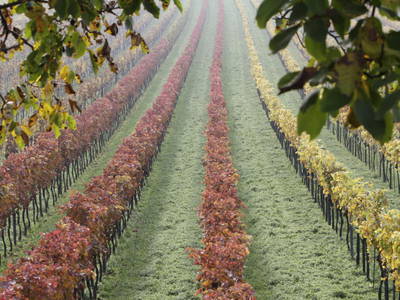 Bild 16 aus  Pension Hareter