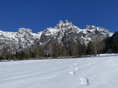 Bild 119 aus  Alpen Appartements Oberlehengut