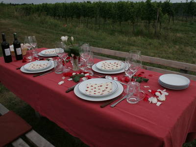 Bild 17 aus  Weingut Fam. Leopold