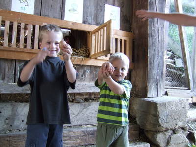 Bild 95 aus  Sportbauernhof Hochalmblick