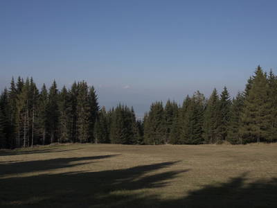 Bild 19 aus  Brandnerhütte