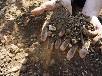 Bild 8 aus  Pension Hareter