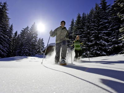 Bild 126 aus  Bischofhütten