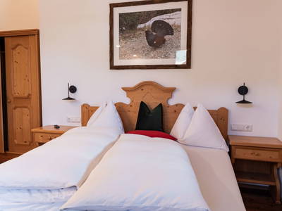 Bild 147 aus  Ginzhof