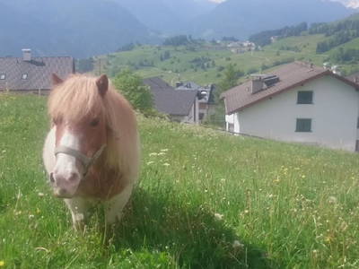 Bild 125 aus  Haus Bernardes