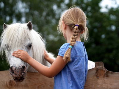 Ponys streicheln und reiten! Pflege und Füttern – ein Kindertraum.